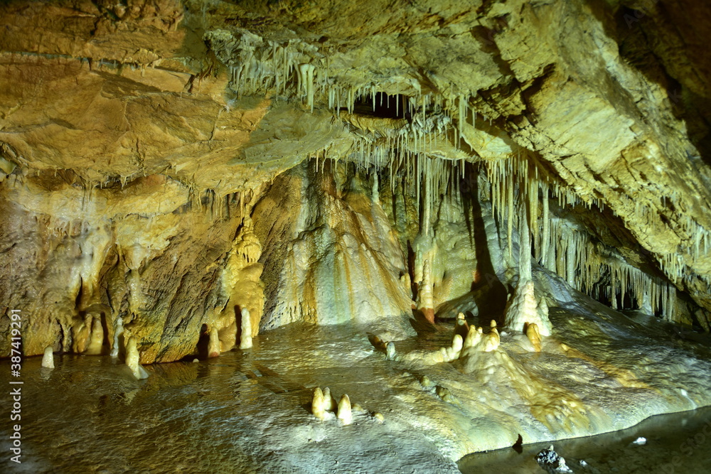 Jaskinia Niedźwiedzia w Kletnie kolo Stronia Śląskiego odkryta w 1966 roku. W miejscu tym odkryto szkielety niedźwiedzia jaskiniowego, lwa jaskiniowego i wiele innych zwierząt plejstocenskich - obrazy, fototapety, plakaty 