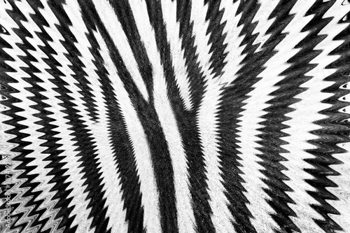Zebras Streifen Muster mal anders 1100795