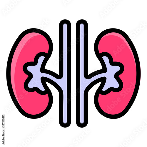 Kidney  