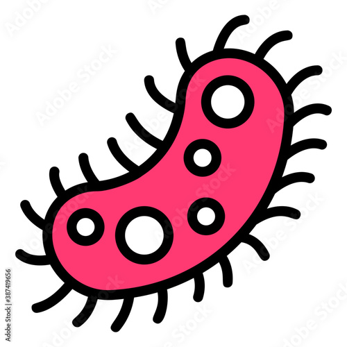 Protozoa 