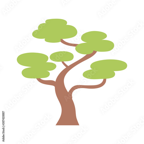 bonsai tree botanical oriental element decoration color design