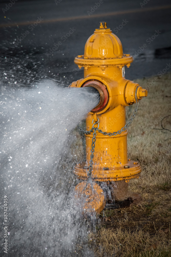 Yellow fire hydrant  wide open with water gushing out near a road