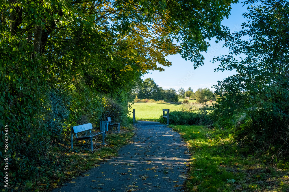 Path with benches through a wooded area towards a country side scene of hills & trees on a sunny day with blue sky