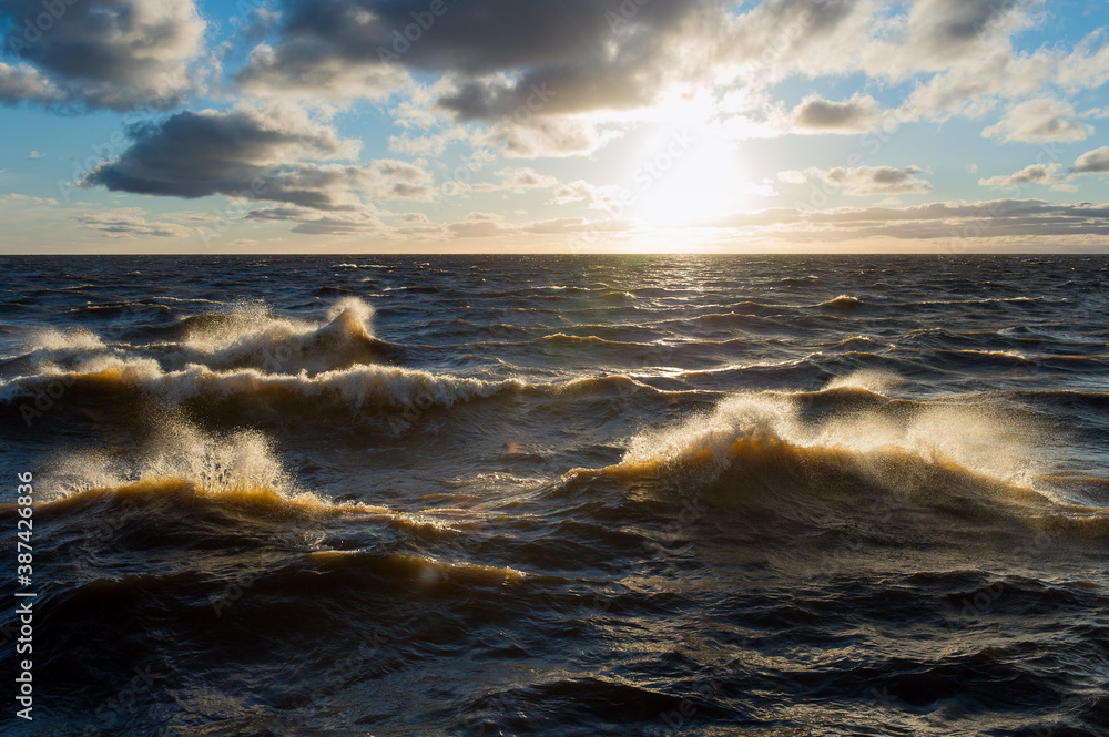 Obraz premium sea wave