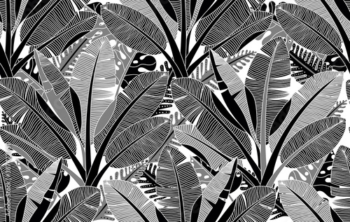 Black and white exotic plant and palm tree  botanical illustration. Bananas tree vector seamless pattern. Tropical plants and trees adult colouring zentangle book page.