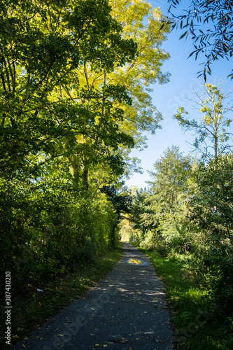 Path through a wooded area on a sunny day with blue skies  taken in early fall in Germany