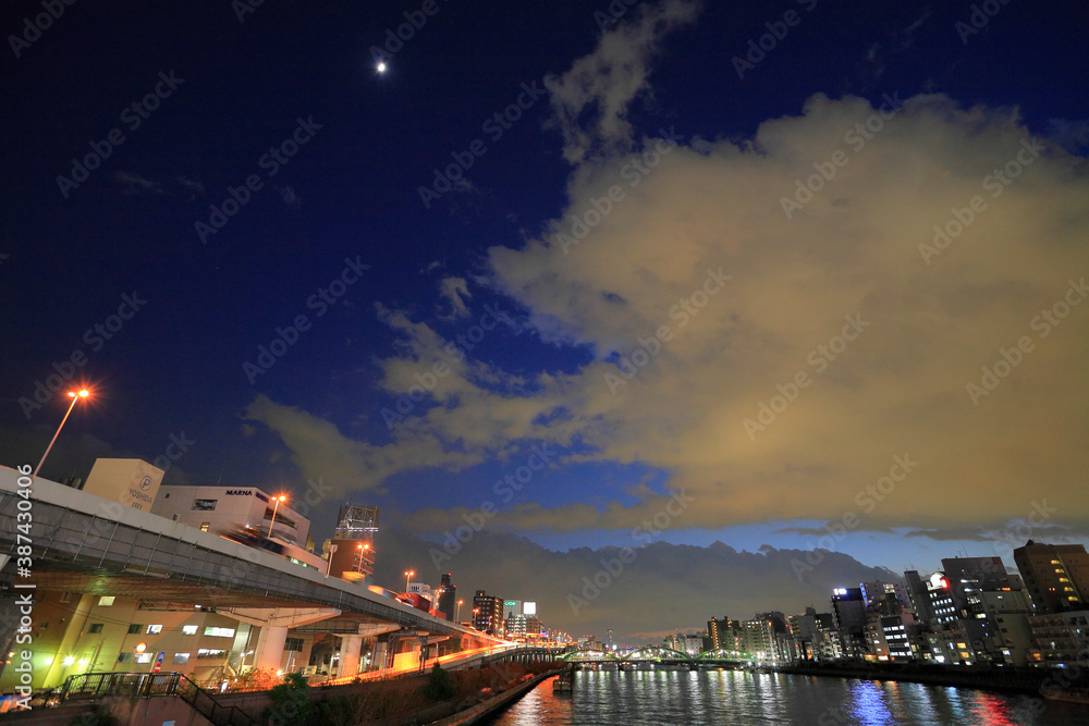 Obraz premium 隅田川夜景