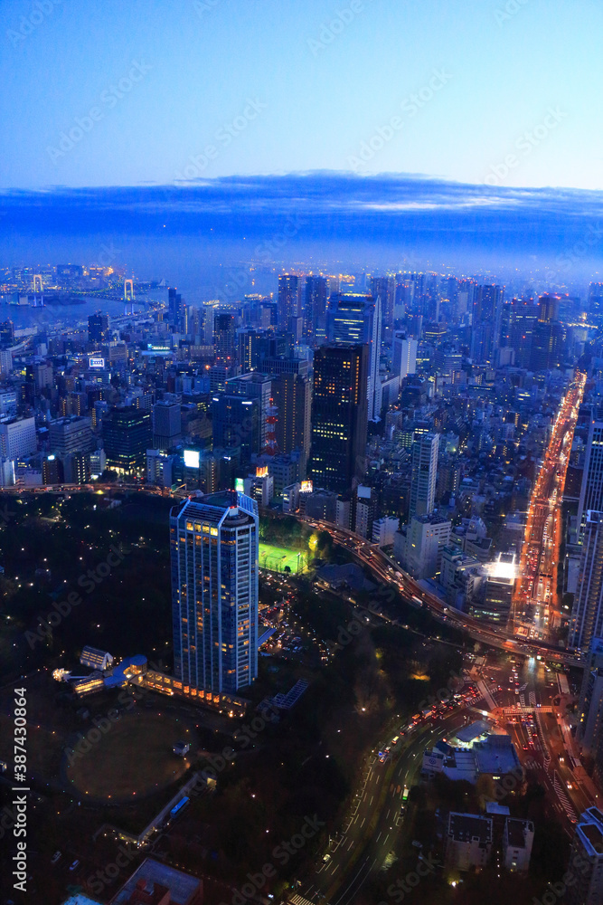 Obraz premium 東京都心夜景パノラマ