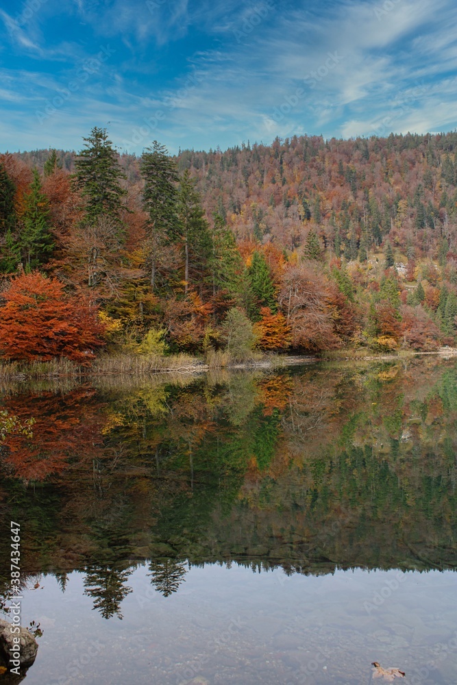 A walk around Alpsee in fall