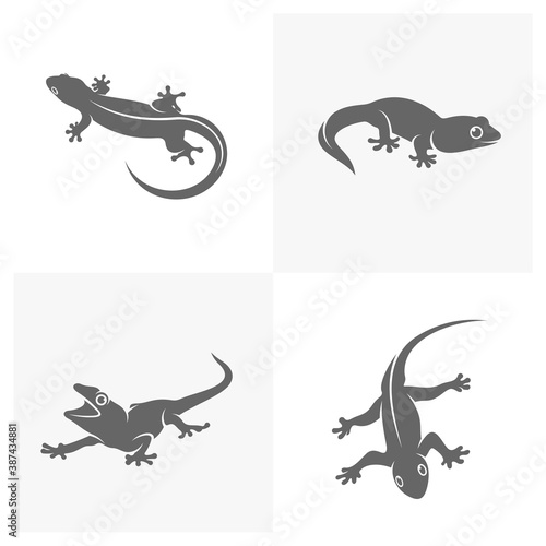 Fototapeta Naklejka Na Ścianę i Meble -  Set of Lizard logo design vector template, Illustration design Lizard, Symbol Icon