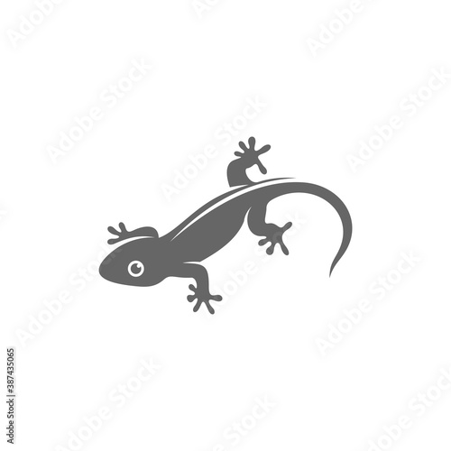 Lizard logo design vector template, Illustration design Lizard, Symbol Icon © shuttersport