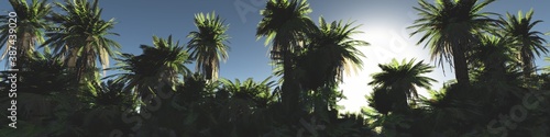 Palm trees at sunset against the sky  silhouettes of palm trees  3D rendering
