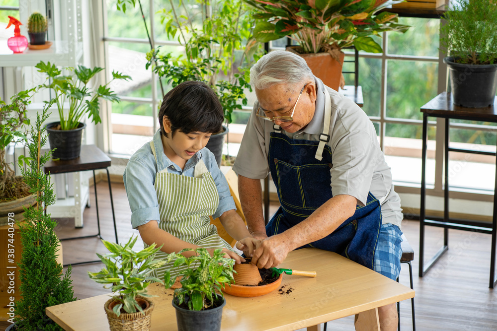 senior Asian man gardening with grandson holding soil for green plant in indoor greenhouse backyard. New normal social distancing work from home concept. senior Asian man gardening with grandson holding soil for green plant in indoor greenhouse backyard. New normal social distancing work from home concept.