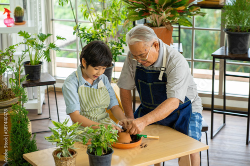 senior Asian man gardening with grandson holding soil for green plant in indoor greenhouse backyard.  New normal social distancing work from home concept. © ake