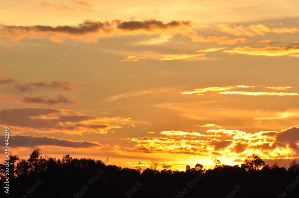 Picture of a sun setting behind a dense forest area followed by mountains.	