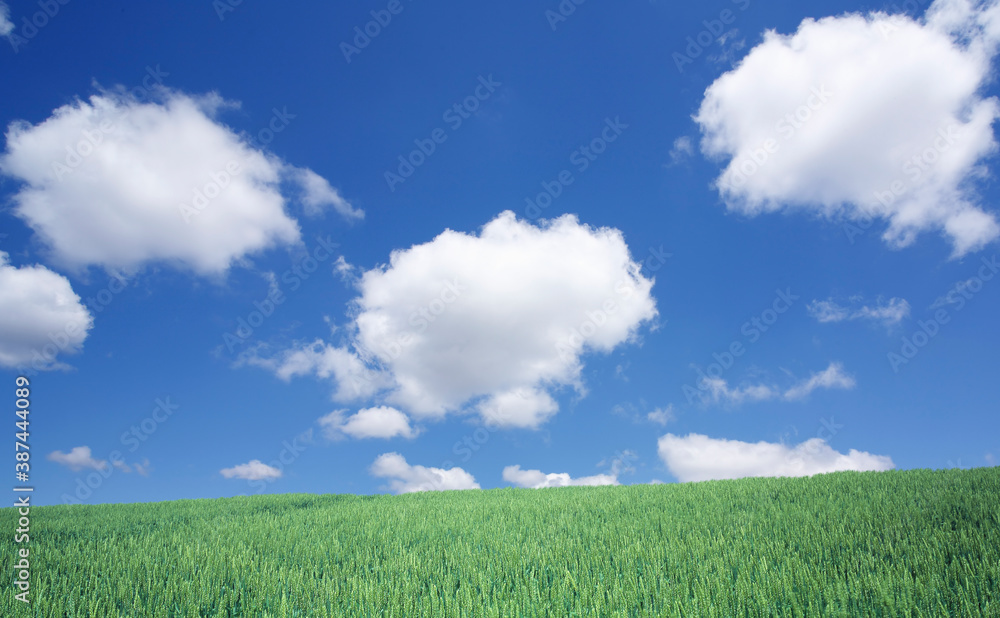 丘と雲 丘と雲