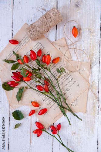 Quadro em tela Mazzetto di bacche rosse di rosa canina su vecchie pagine di libro viste dall' a