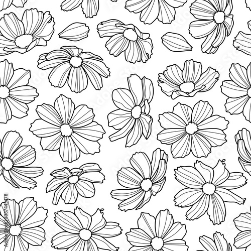 Coloring antistress page for adults  and children. Monochrome pattern of cosmos flowers