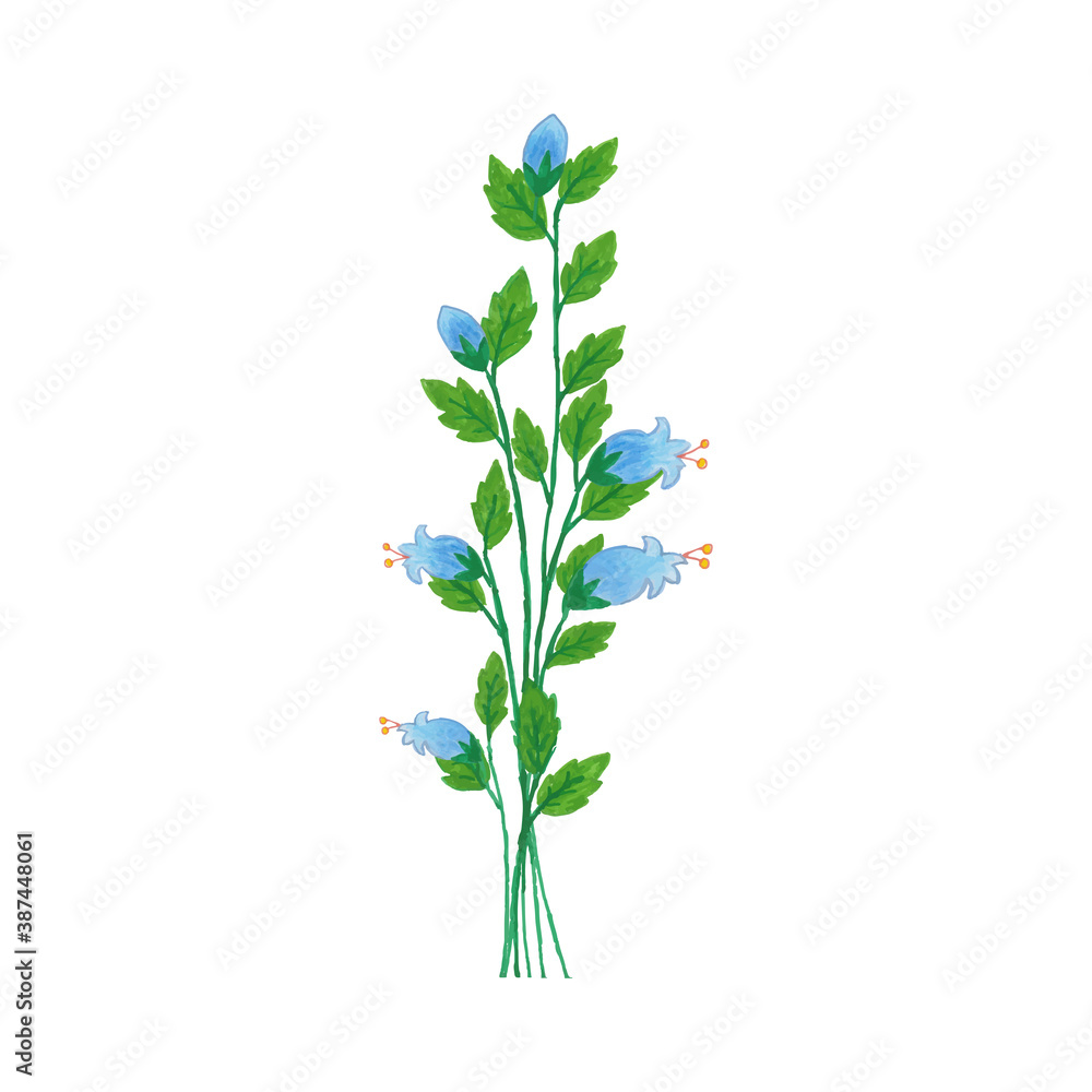 Naklejka premium floral design elements created by hand using crayon