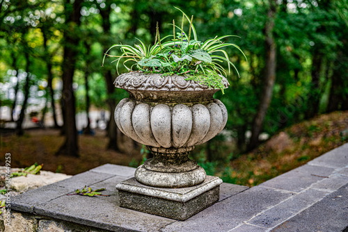 Ancient vase with green plants in summer park