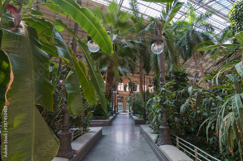 Cityscape of the streets of madrid during the Covid-19 Pandemic