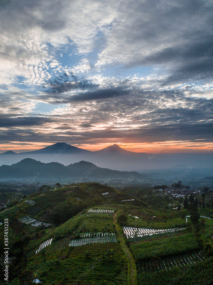 Vegetable plantation with sunrise sky on the background. Seen mountains on the horizon and cloudy sky. Slope of mout sumbing, Silancur Highland, Magelang, Central Java, Indonesia
