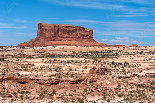 Desert landscape Southwest USA