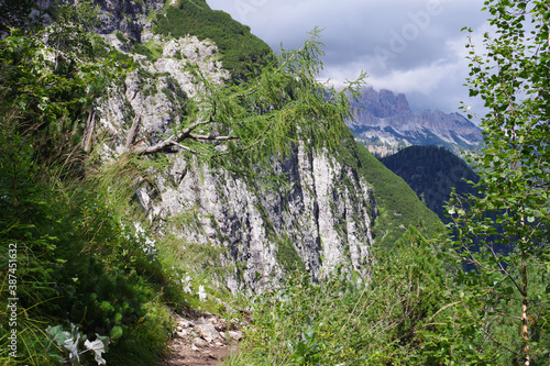 Fototapeta Naklejka Na Ścianę i Meble -  Paysages des Dolomites