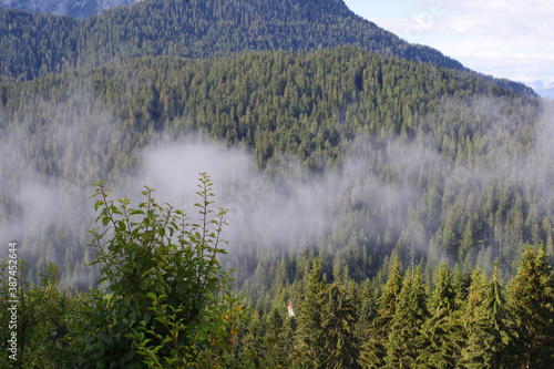 Brume s'échappant des forêts au petit matin, Dolomites