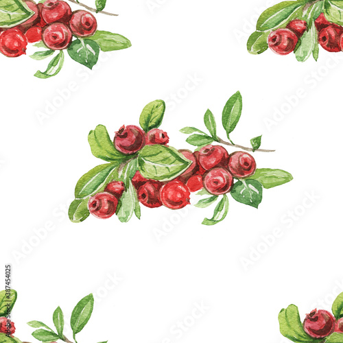 Fototapeta Naklejka Na Ścianę i Meble -  Lingonberry berries. Hand-drawn watercolor pattern. Bright beautiful print, textile, background. forest. Cotton, snowberry, spruce, pine, branches and cones. Seamless pattern Sketch, retro, vintage. F