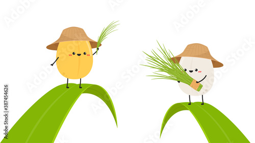 Rice character design. rice vector on white background. rice seed.