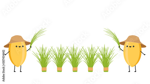 Rice character design. rice vector on white background. rice seed.