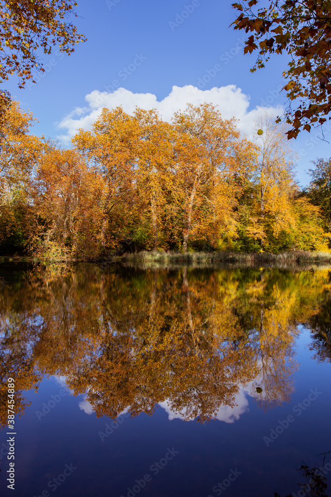 Couleurs d'automne sur le lac