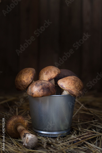 Boletus mushrooms in an aluminum bucket on wooden blurred background. Rustic. Vertical orientation
