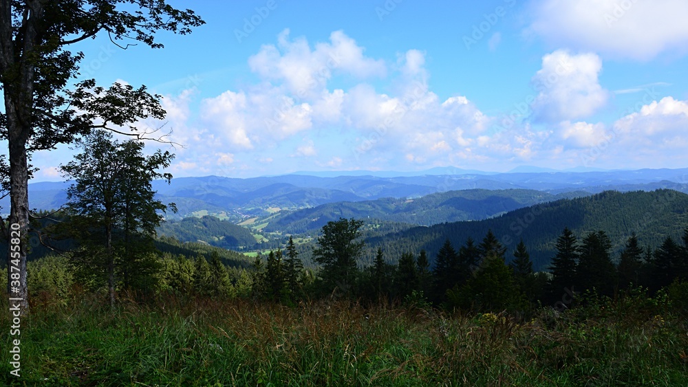 Landscape view of central Moravia side of Czech and Slovak border from Kohutka ski resort during summer partially cloudy day. Mostly coniferous forest is visible with some solitaire maple trees. 