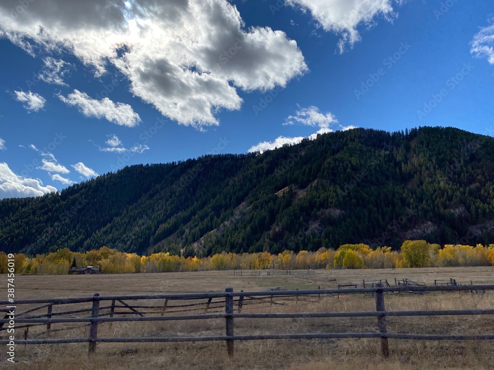 Fall Color in Ketchum, Idaho Fall Color in Ketchum, Idaho
