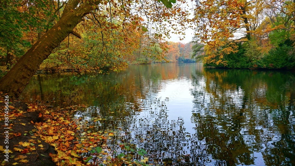 autumn in the park autumn in the park