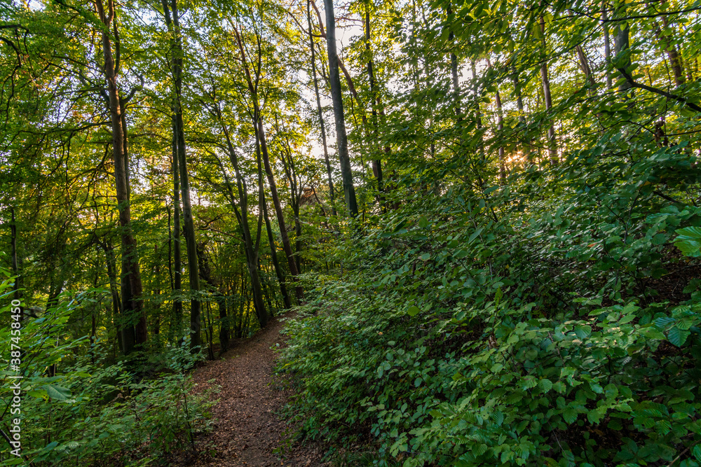 Obraz premium Hike at the golden hour to the famous Heidenhoehlen near Stockach on Lake Constance