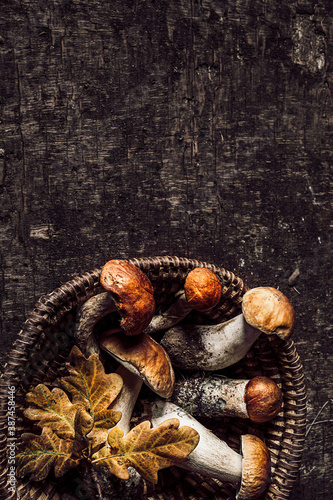 Autumn composition with porcini mushrooms and oak leaves on dark old wooden background. Flat lay, copy space