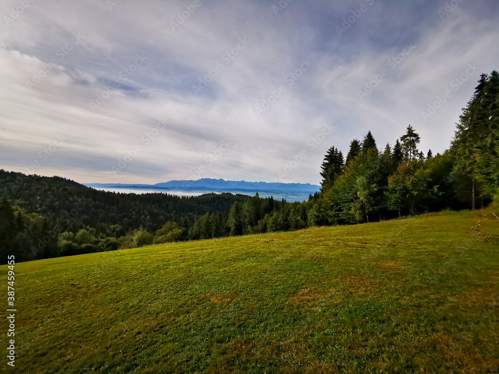 View of a green meadow in the background of the Tatra Mountains
