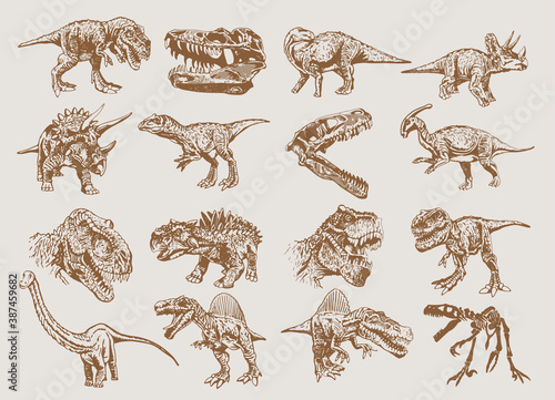 Vector set of dinosaurs , vintage colletion, sepia illustration