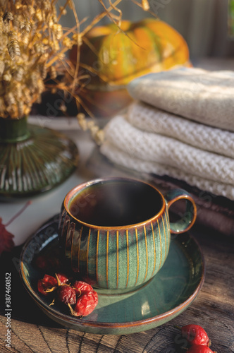 healthy hot drink to keep you warm on cold autumn days. Hot cocoa chocolate in a beautiful Cup with a blanket and autumn leaves. Cozy autumn still life. top view