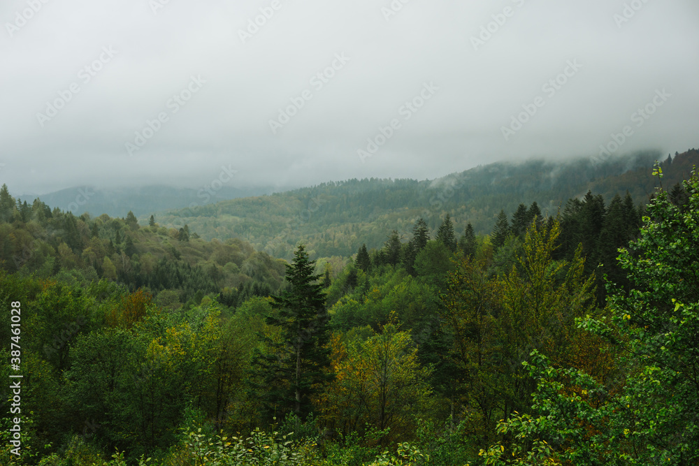 Mystic foggy morning. Bieszczady National Park in Poland landscape. Autumn mountain trekking. Rural scenery background. Hiking trail on the hill. Blue sky idyllic view.