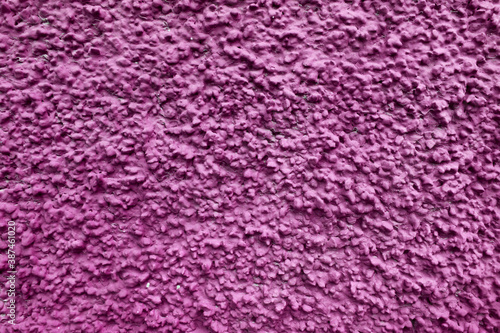 Popcorn ceiling texture of a fuchsia pink or purple wall with color - rough surface background 