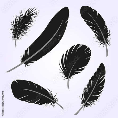 feathers silhouettes vector isolated clipart
