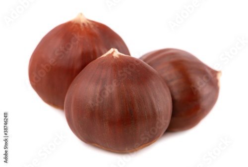 Fresh chestnuts isolated on white background. Hippocastanum or horse chestnuts.