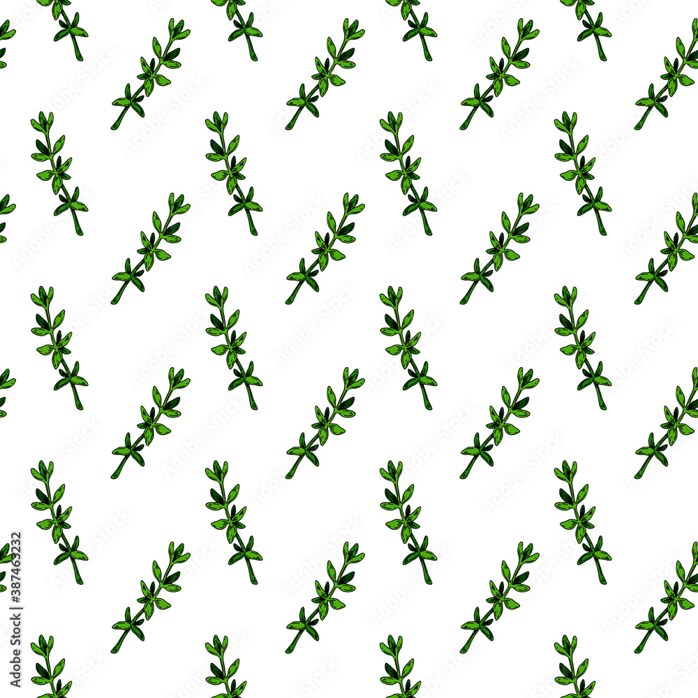 Hand drawn thyme seamless pattern. Herbal print in colored sketch style. Vector illustration