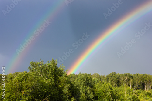 Rainbow over the summer mixed forest, cloudy sky and clear rainbow colors, forest road. Natural landscape. Rainbow colors after rain. Rain clouds. © Irida