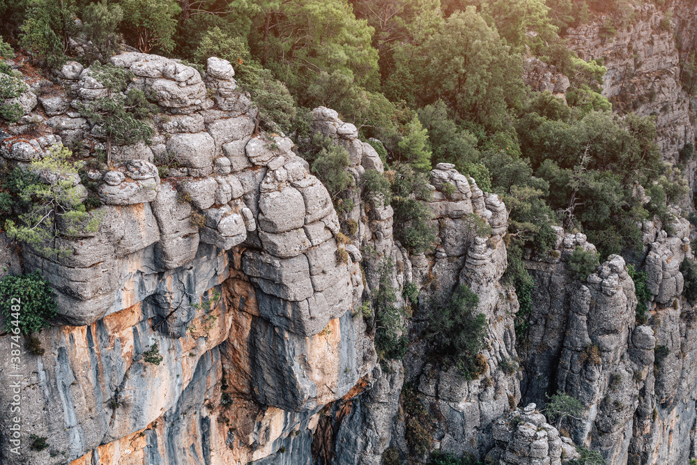 Rocks with a forest break into a deep gorge of the Tazi canyon in Turkey. Great spot for rock climbing and Hiking