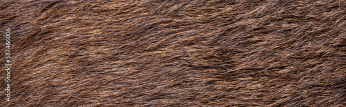 close up of brown fur texture